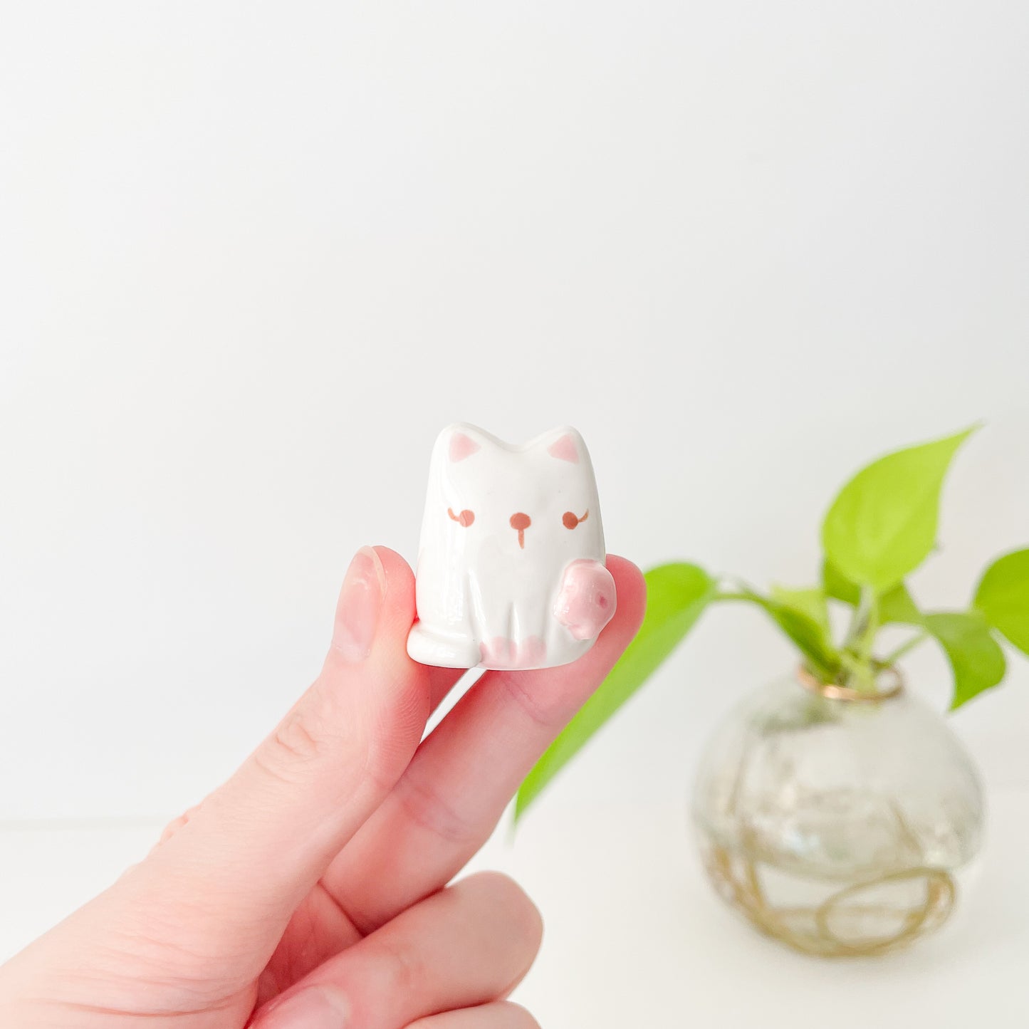 Flower Cat Desk Pal