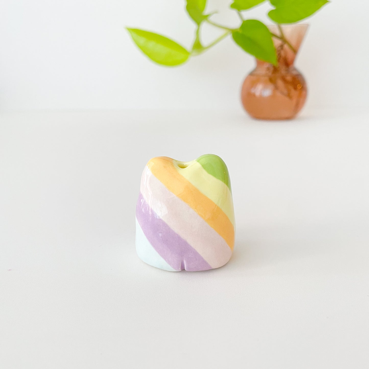 Rainbow Frog Mini Vase