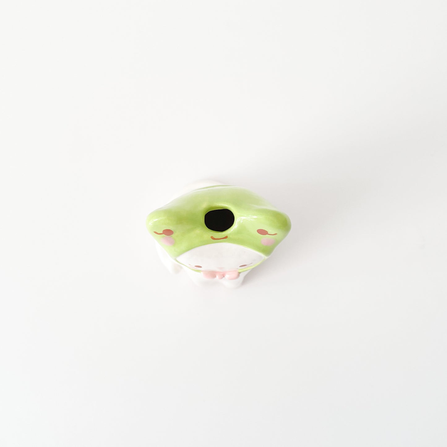 Froggy Cat Vase